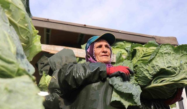 Hasadın yükünü kadınlar taşıyor: Yağmur, çamur demeden bin bir zorluklarla çalışıyorlar