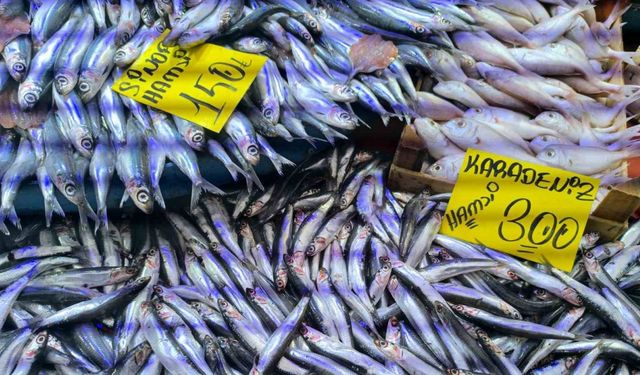Havaların soğumasıyla balık tezgahlarında alışverişler hızlandı
