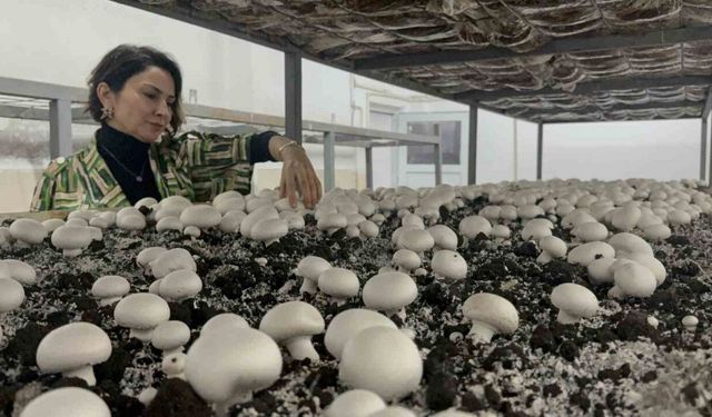 Hem eğitim görüp hem üretiyorlar