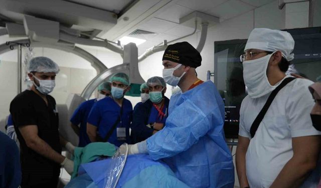 "İğneyle" tümör tedavisine uluslararası ilgi: Canlı canlı izlediler