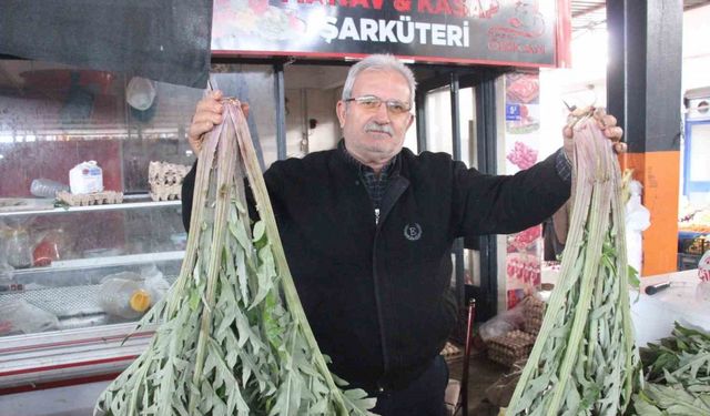 Karaciğer dostu enginar pazarda yoğun ilgi görüyor