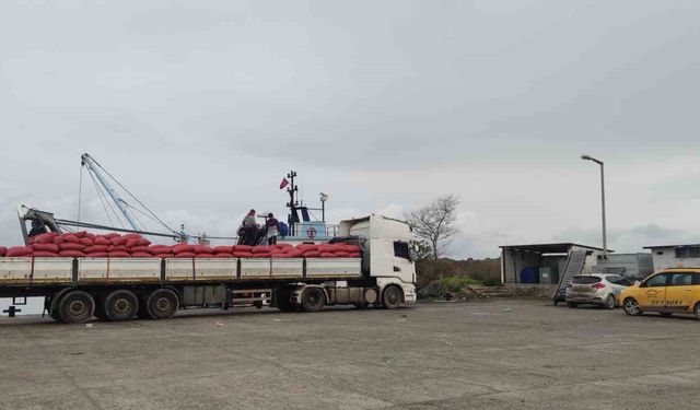 Karadeniz'den çıkartılan beyaz kum midyesine sıkı denetim