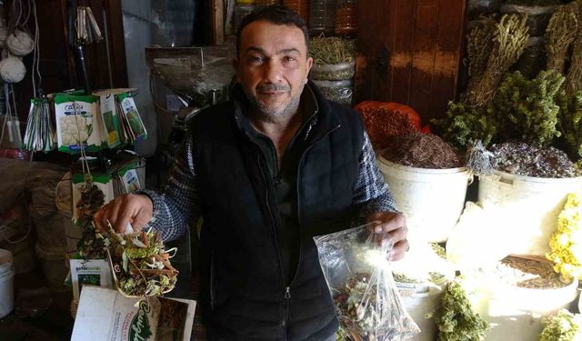 Karlı havalarda şifa arayanlar aktarlarda yoğunluk oluşturdu