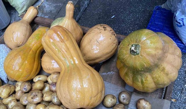 Kendisi ayrı, çekirdeği ayrı şifa kaynağı