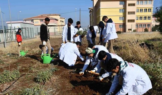 Öğrencilere ’tohumdan sofraya’ tarım eğitimi