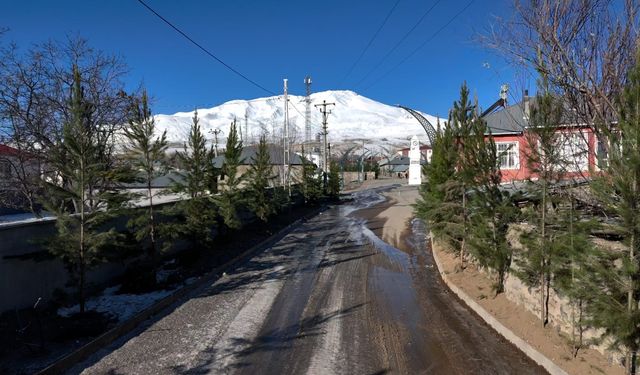 Süphan'ın eteklerinde kartpostallık belde: Aydınlar