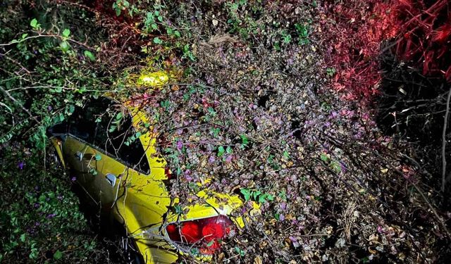 Sürücüsünün içinde olduğu otomobilin üzerine ağaç devrildi