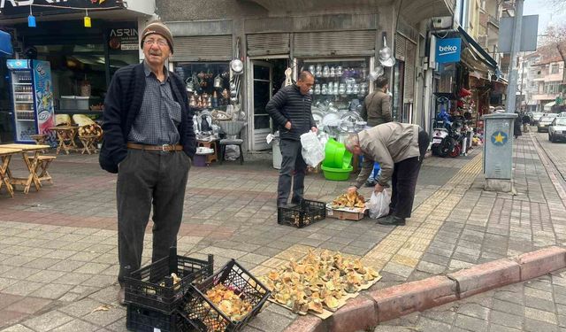 Tavşanlı'da Aralık ayı sonunda da Melki mantarı bereketi