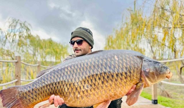 Yakaladıkları dev gibi sazan balığını suya geri bıraktılar