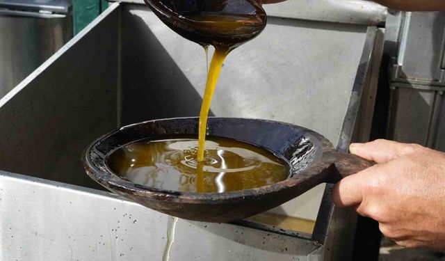 Zeytinyağında dededen kalma 'taş baskı' yöntemini yaşatıyor