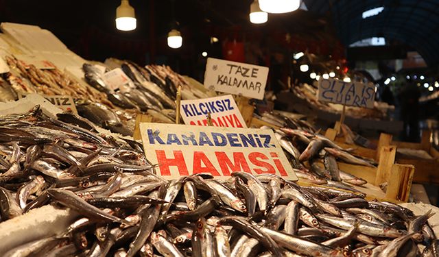 Yağışların başlamasıyla birlikte balık fiyatlarında artış yaşandı