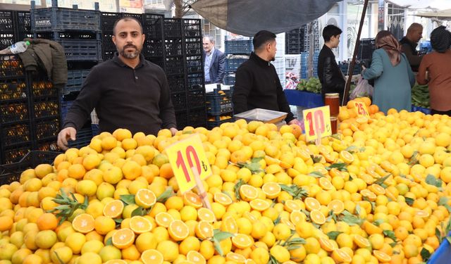 Mersin’de kış meyvelerinin fiyatı düştü