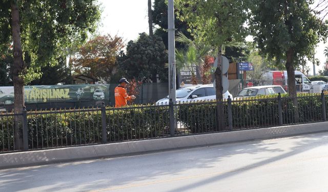 Mersin Büyükşehir, ağaçları zararlı etkenlerden koruyor