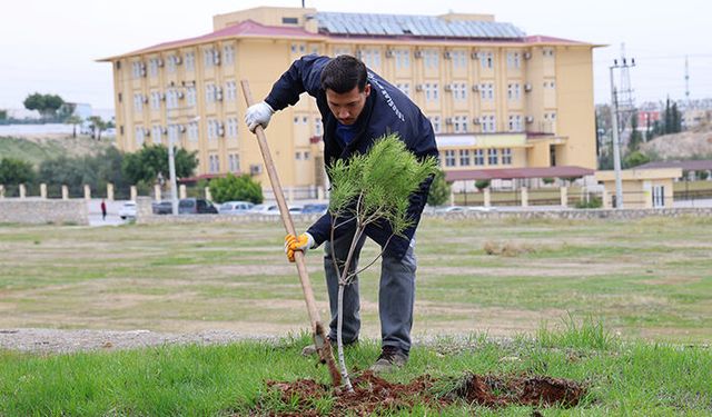 Toroslar Belediyesi’nden ağaçlandırma seferberliği