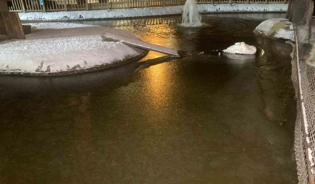 Ankara'da kar yağışının ardından hava sıcaklığı eksi 11 dereceye kadar düştü