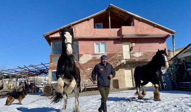 Ankara'da sıra dışı yaşam: Onlarca hayvanla ortak hayat kurdu