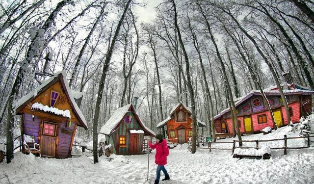 Avrupa'nın en büyük doğal yaşam parkı Ormanya beyaz örtüyle kaplandı