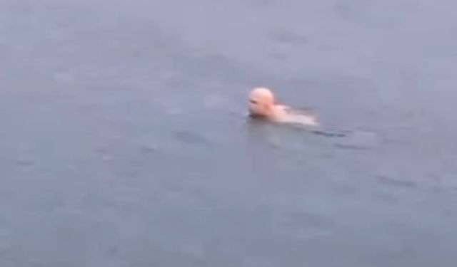 Bursa'da dondurucu soğukta deniz keyfi