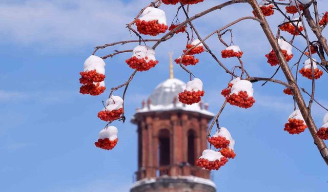 Buzlanma, don ve çığa dikkat