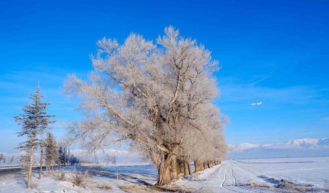 Doğu yine buz kesti