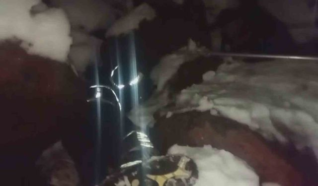 Dondurucu soğukta ölümü bekleyen yavru köpekleri itfaiye kurtardı