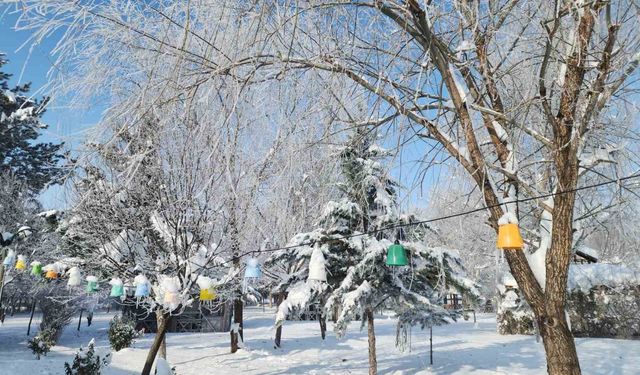 Elazığ'da dondurucu soğuklar: Karakoçan'da termometreler -22'yi gösterdi