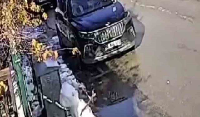 Güneşi gören kardan adam eriyip kaldırımda devrildi