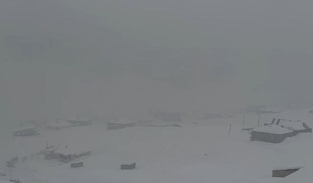 Hakkari'de kar yağışı: 43 yerleşim yerinin yolu kapandı