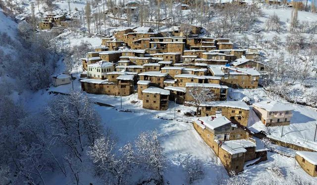 Hizan'ın taş evleri kar altında kartpostallık görüntüler oluşturdu