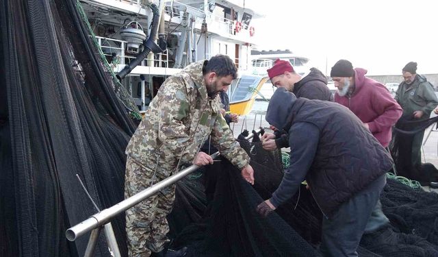 İğneada ve Gürcistan açıklarındaki hamsi avı beklentileri karşılamayınca balıkçılar erken paydos etti