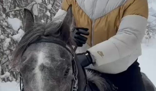 Kar üstünde dört nala at şovu