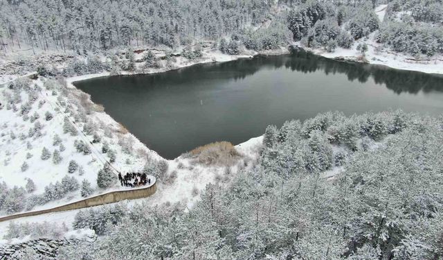 Karla kaplı orman içerisindeki gölet, kış manzarasıyla mest ediyor