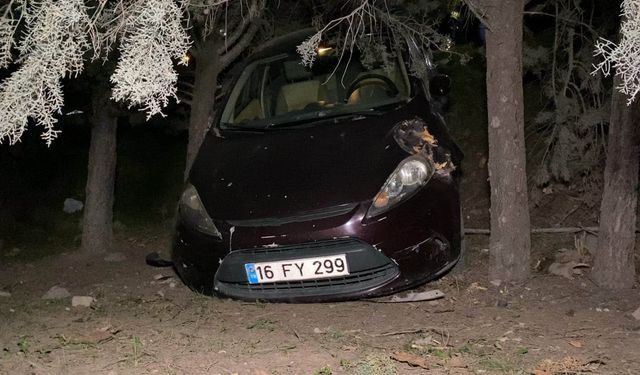 Kazadan sonra panik yaptı, alışveriş merkezinin bahçesine uçtu