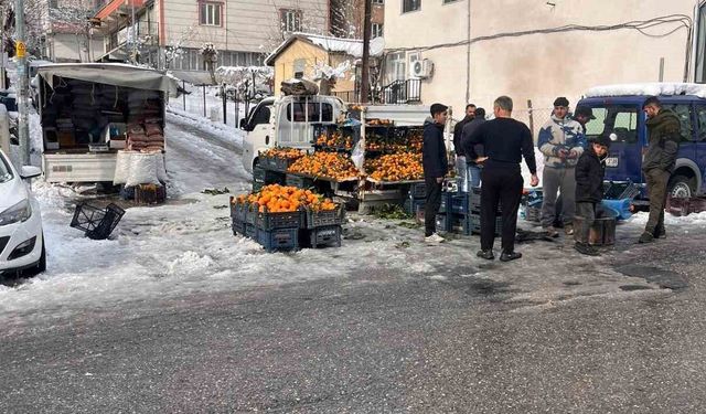 Kulp'ta kar esareti: Pazar esnafının büyük çoğunluğu tezgah açamadı