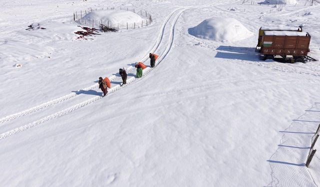 Mazıdağı'nın karlı yollarında zorlu mesai: Kadınlar sırtlarında saman taşıyarak kışa meydan okuyor