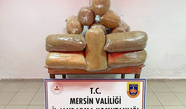 Mersin'de 100 kilo kaçak tütün ele geçirildi, 1 kişi gözaltına alındı