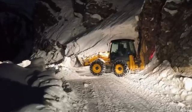 Pervari'de çığ düşen yol ulaşıma açıldı