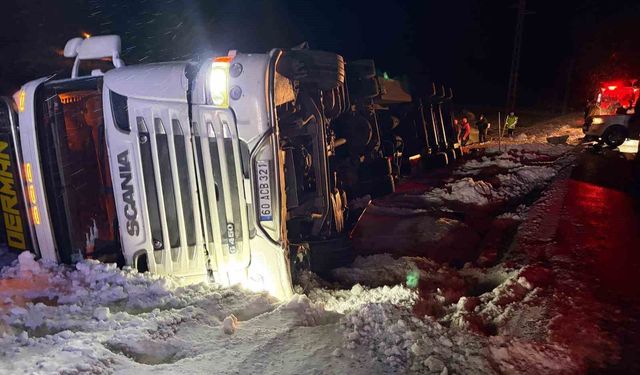 Refahiye'de hayvan yüklü tır kazası: 45 büyükbaş kurtarıldı