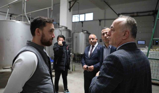 Sarıcakaya'da zeytin ve zeytinyağı üretimi hızla artıyor