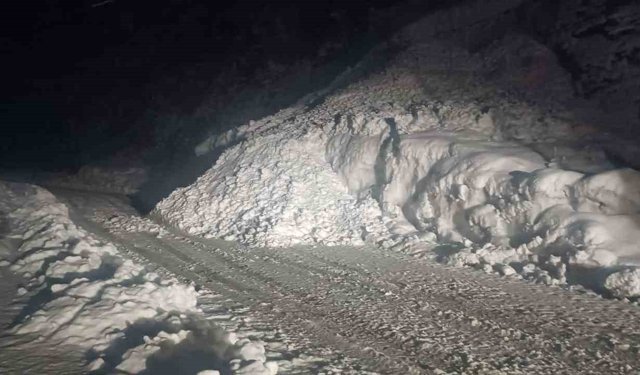 Şırnak yoluna çığ düştü, karayolu 2 saat ulaşıma kapandı