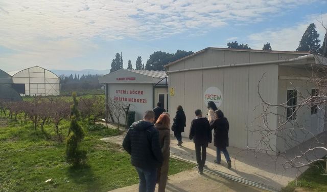 Tarım zararlılarıyla mücadelede 2026 yılı yol haritasının çizildi