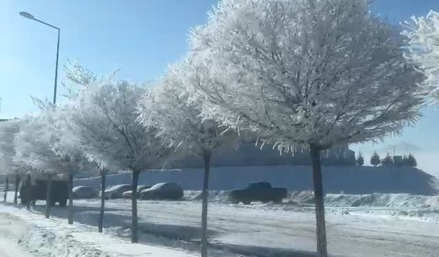 Tufanbeyli'de eksi 20 derecede kartpostallık manzara