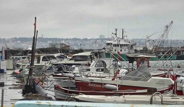 Uyanık lüfer Karadeniz zekasını kullandı: Denizlerde bol ama ağlara girmiyor