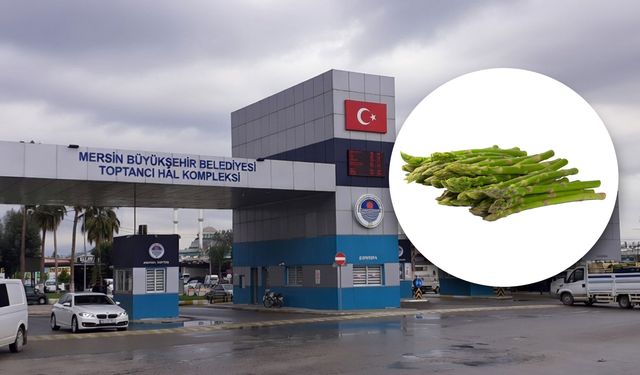 Mersin Hali’nde kuşkonmazın kilosu bin 176 TL’ye satılıyor!