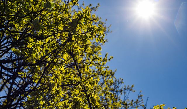 Mersin, hafta sonuna güneşli hava ile başladı