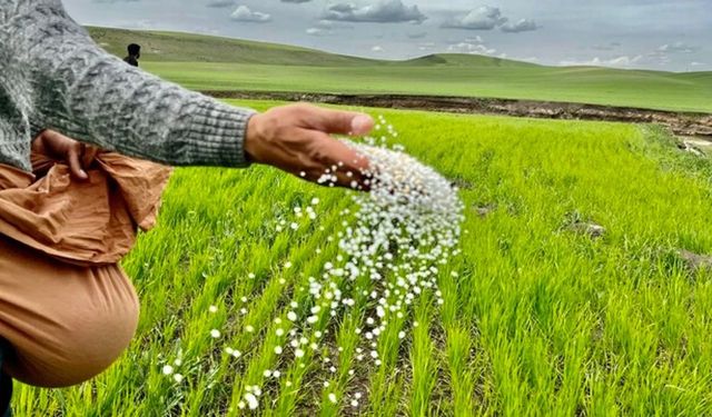 Tarım-GFE yıllık yüzde 34,24 arttı