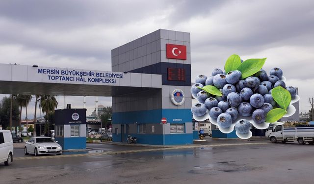 Mersin Hali’nde kilosu 800 TL: Yaban mersini