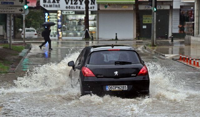 Antalya'da 'Sarı Kod' uyarısı: Rögarlar taştı, telef olmuş dana kıyıya vurdu