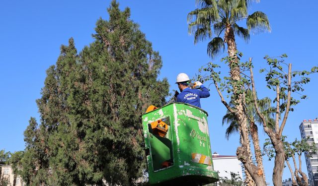 Toroslar’da kış bakımı sürüyor