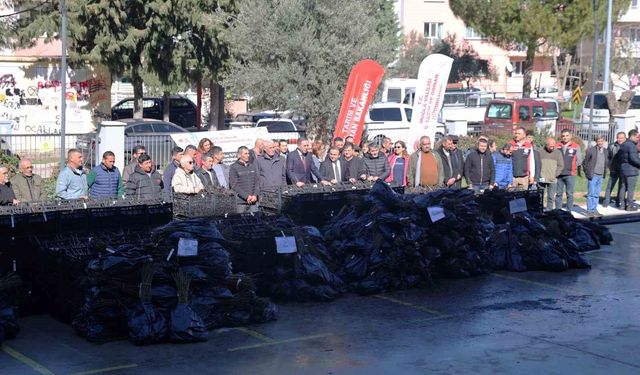 50 bin adet üzümsü fidan dağıtıldı
